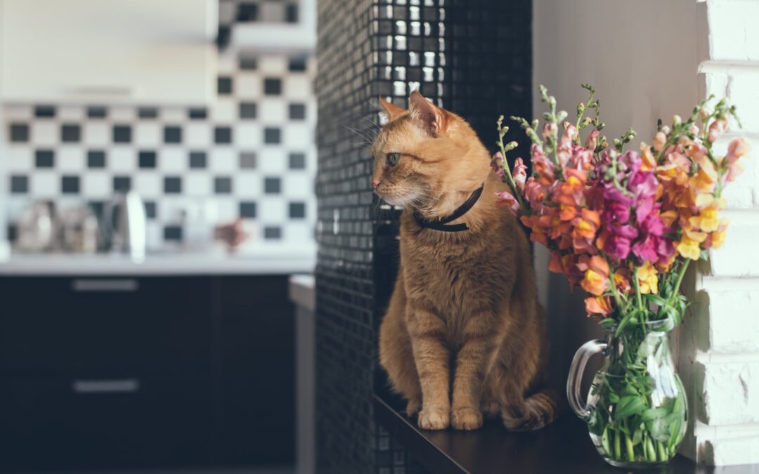 6 Tips for Selling Your Home With Pets