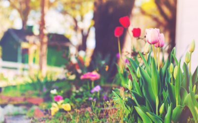 How to Sell Your Home Fast This Spring