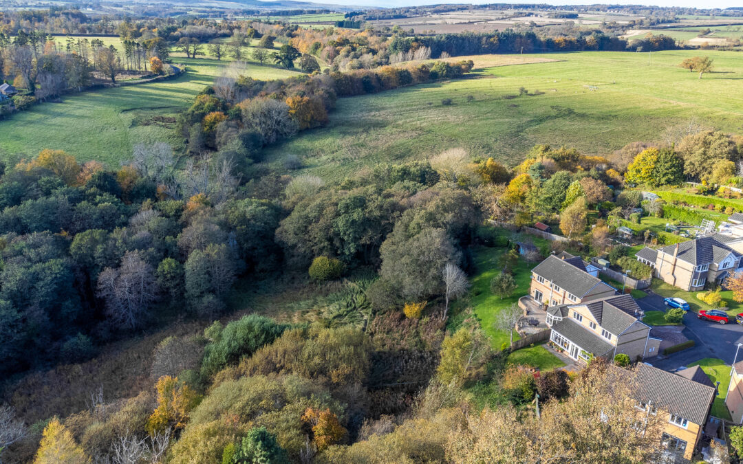 Park View, Felton, Morpeth, Northumberland