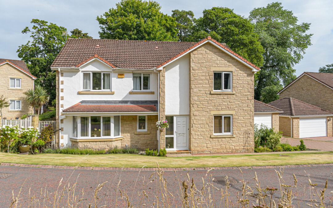 Springfield Meadow, Alnwick, Northumberland