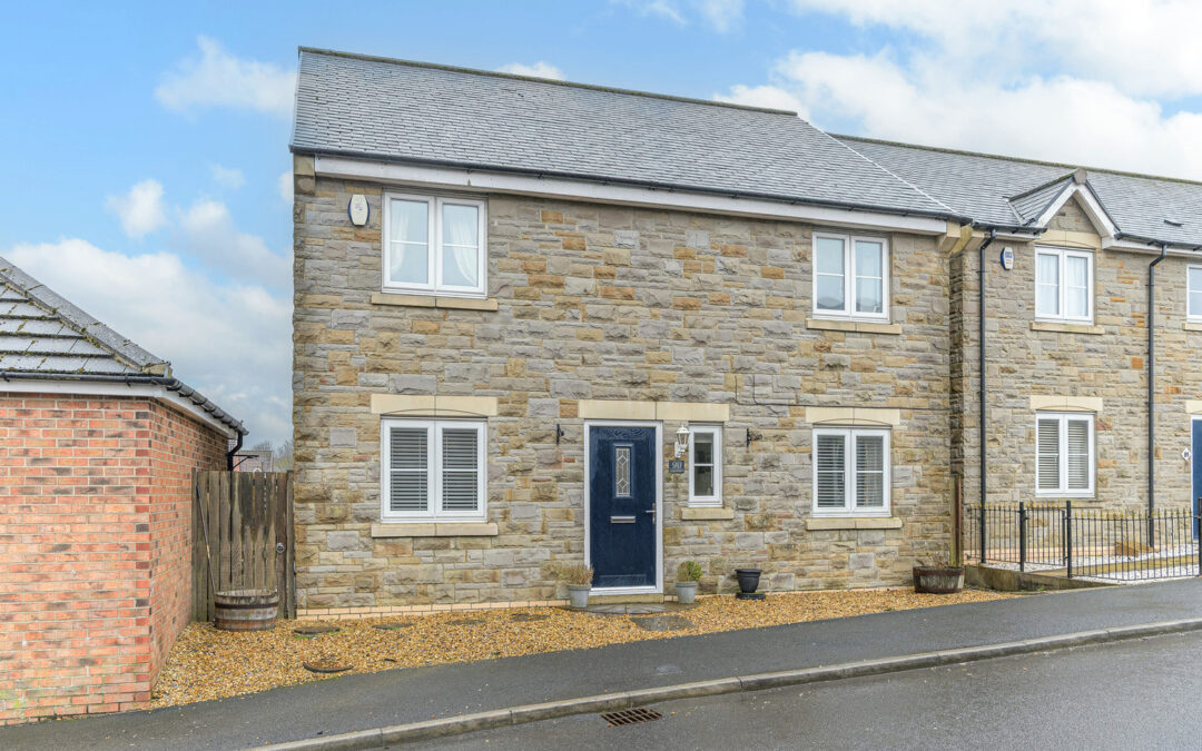 Tyelaw Meadows, Shilbottle, Alnwick, Northumberland